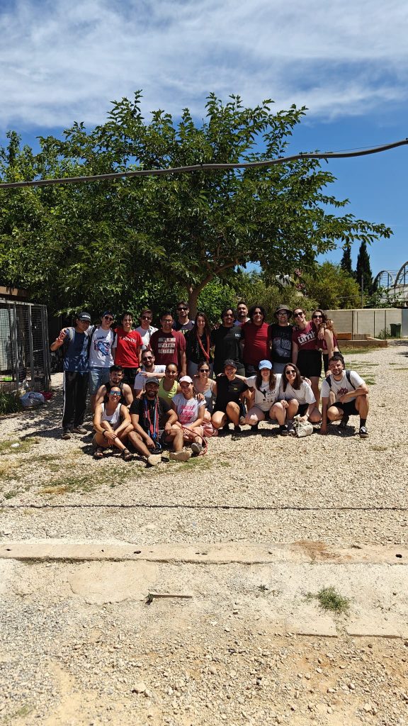 Valencia Refugio de animales